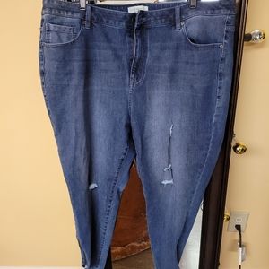 Lane Bryant Zipper Jeans